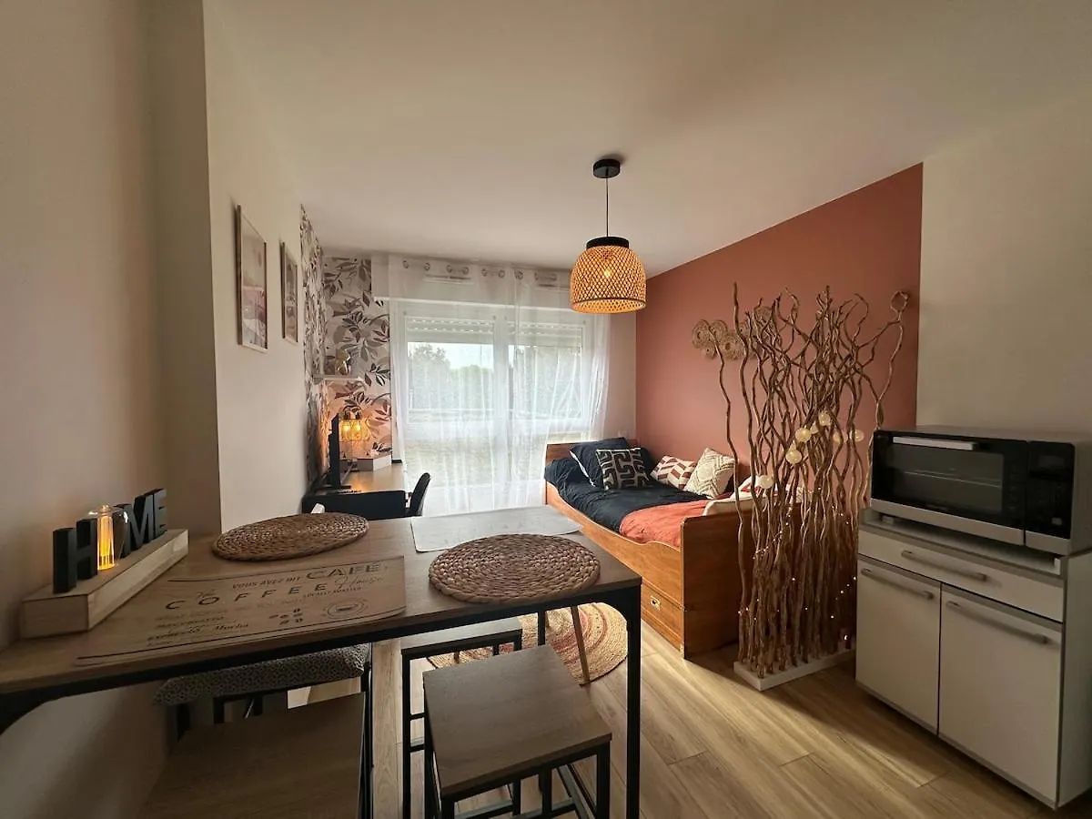 Le Petit Pillon - Studio Avec Parking Vannes Daire